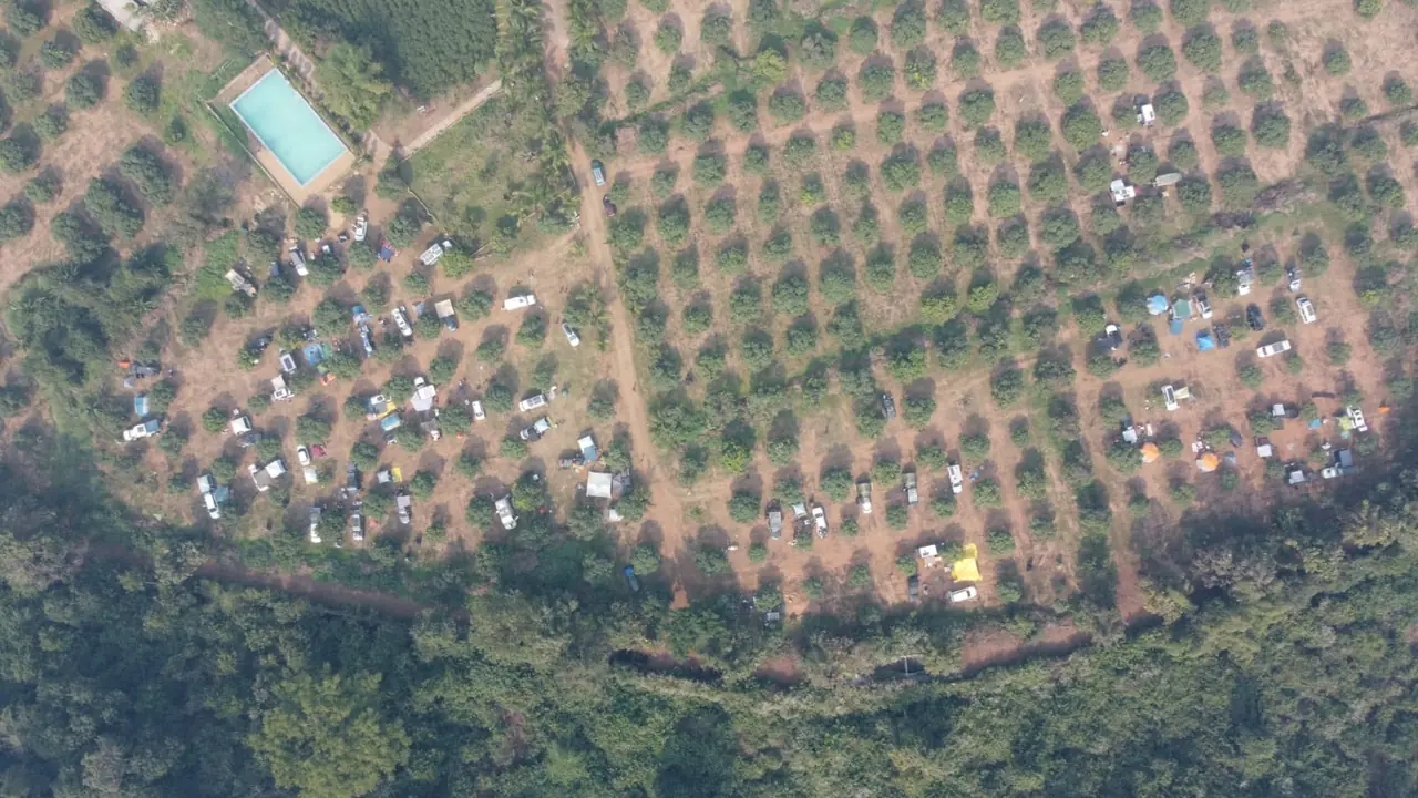 Aerial view of the Sangam 2025 campsite in an orchard near Satkosia Tiger Reserve